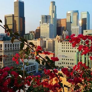 Meet your Posher, Heidy